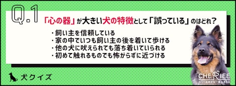 【クイズ】愛犬の心の器はどれくらい?器を大きくしてお悩み解消!のアイキャッチ画像