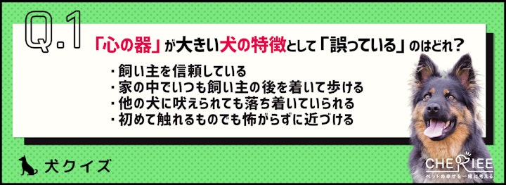 【クイズ】愛犬の心の器はどれくらい？器を大きくしてお悩み解消！のアイキャッチ画像