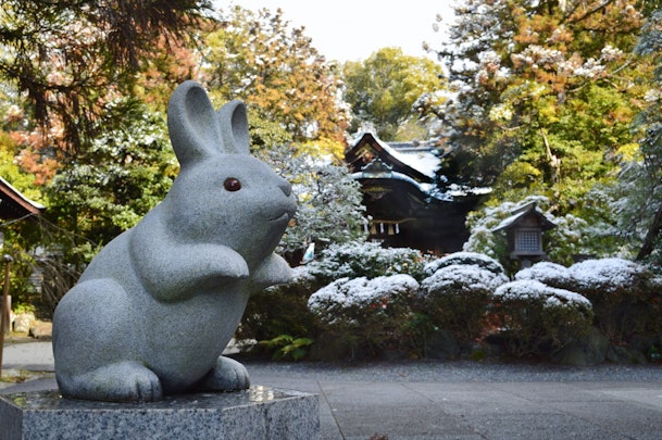 うさぎにまつわる神社・仏閣5選！可愛い御朱印やお守りものアイキャッチ画像