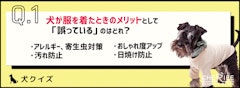 記事カテゴリ第5位