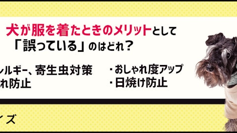 【クイズ】服を着ることが増える冬!服のメリットと注意点のアイキャッチ画像