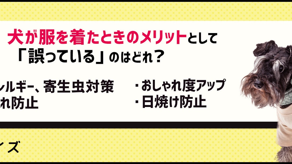 【クイズ】服を着ることが増える冬!服のメリットと注意点