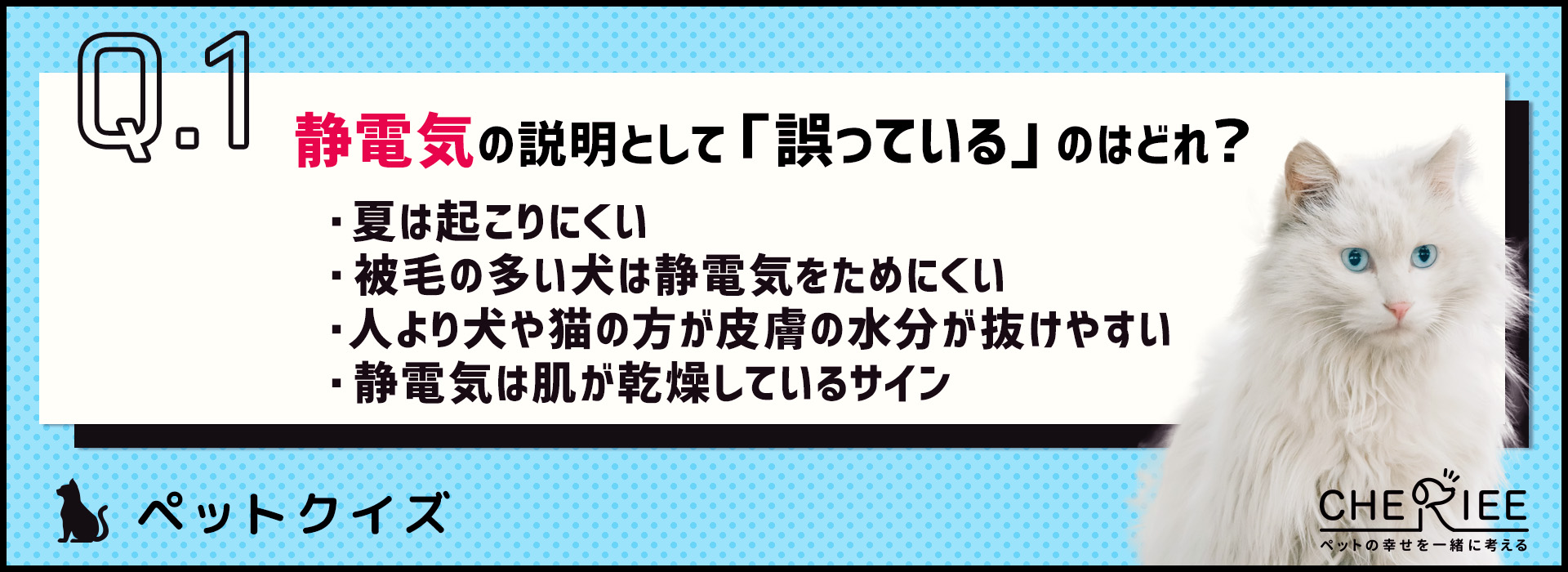 【クイズ】静電気はペットにとっても嫌！この冬はしっかり対策しよう