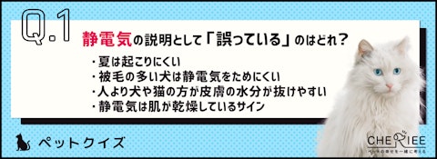 【クイズ】静電気はペットにとっても嫌！この冬はしっかり対策しようのアイキャッチ画像