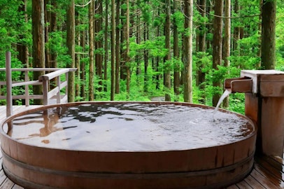 かわいい看板犬に会える!犬連れでも楽しめるお宿4選【西日本編】のアイキャッチ画像