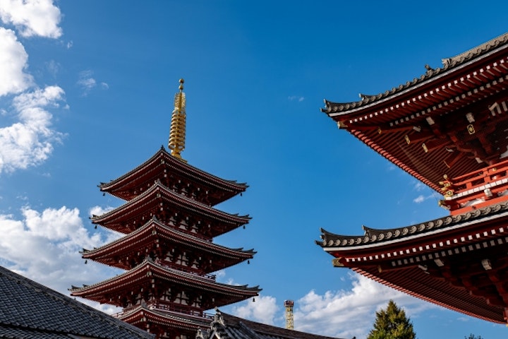 犬,猫,ペット,遺体,葬儀,供養,火葬,寺院,お寺,霊園