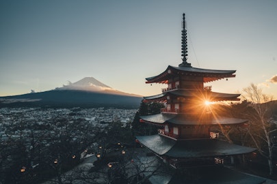 ペットの最期のこと考えてる？東京都内で葬儀や供養ができる寺院5選のアイキャッチ画像