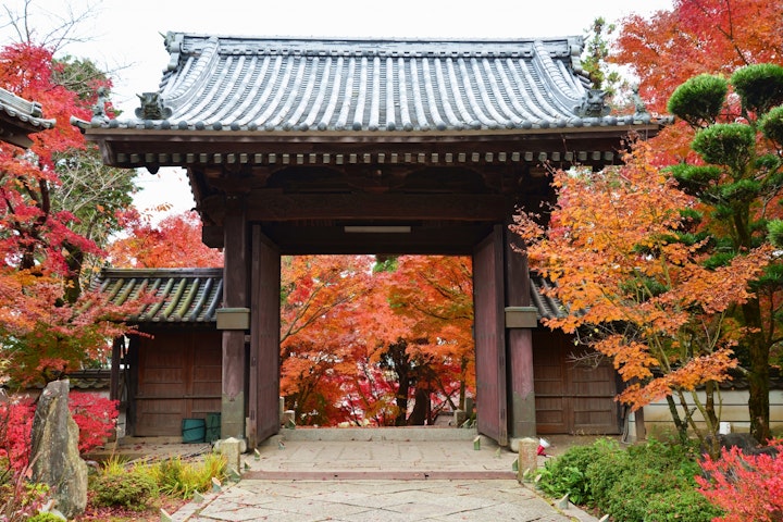 犬,猫,ペット,遺体,葬儀,供養,火葬,寺院,お寺,霊園