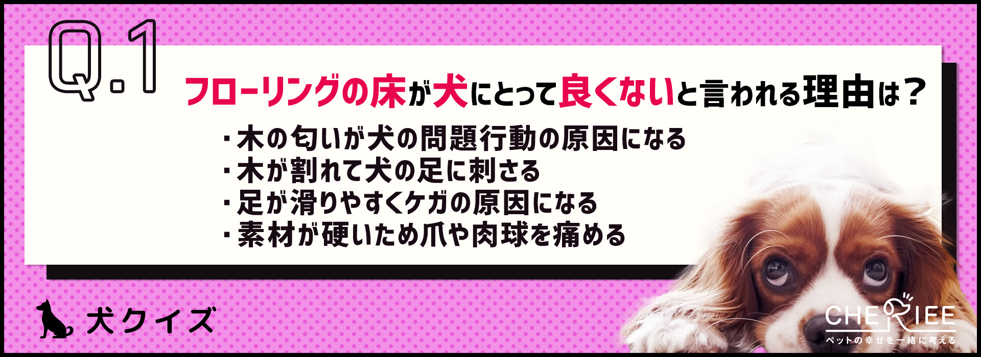 【クイズ】愛犬をキケンから守ろう！家庭内の事故やケガを防ぐには