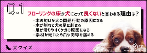 【クイズ】愛犬をキケンから守ろう！家庭内の事故やケガを防ぐにはのアイキャッチ画像