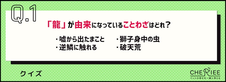 【クイズ】来年は辰年！お正月に役立つ龍にまつわる雑学をご紹介のアイキャッチ画像