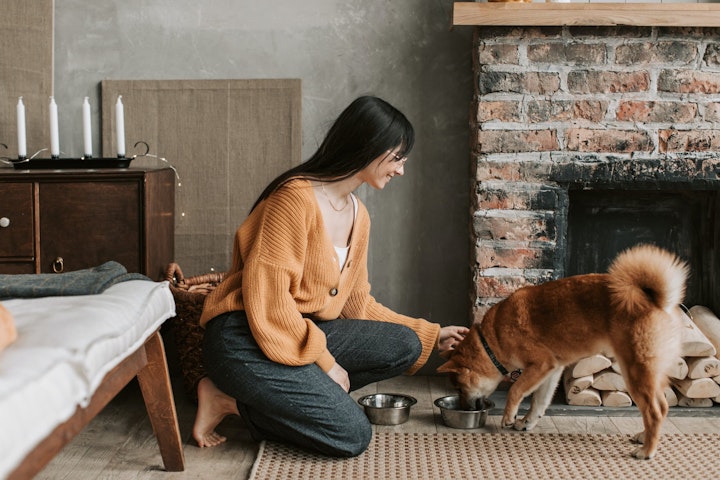 中毒,健康,注意,犬,犬の健康,誤食,食事,食材,飼い主,飼い方