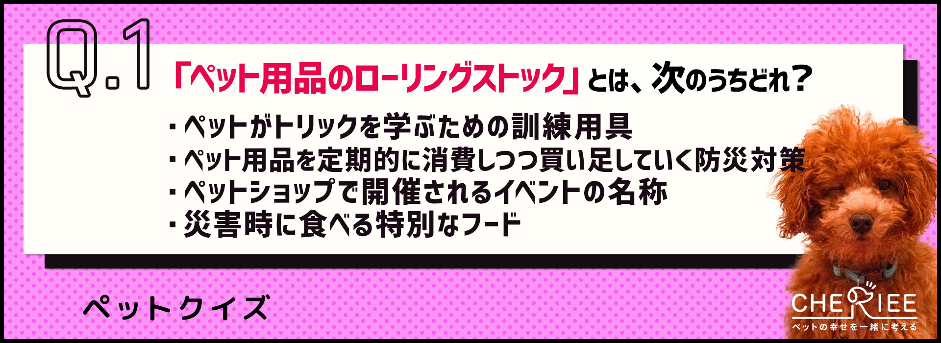【クイズ】ペットにも防災対策を！ローリングストックを学ぼう