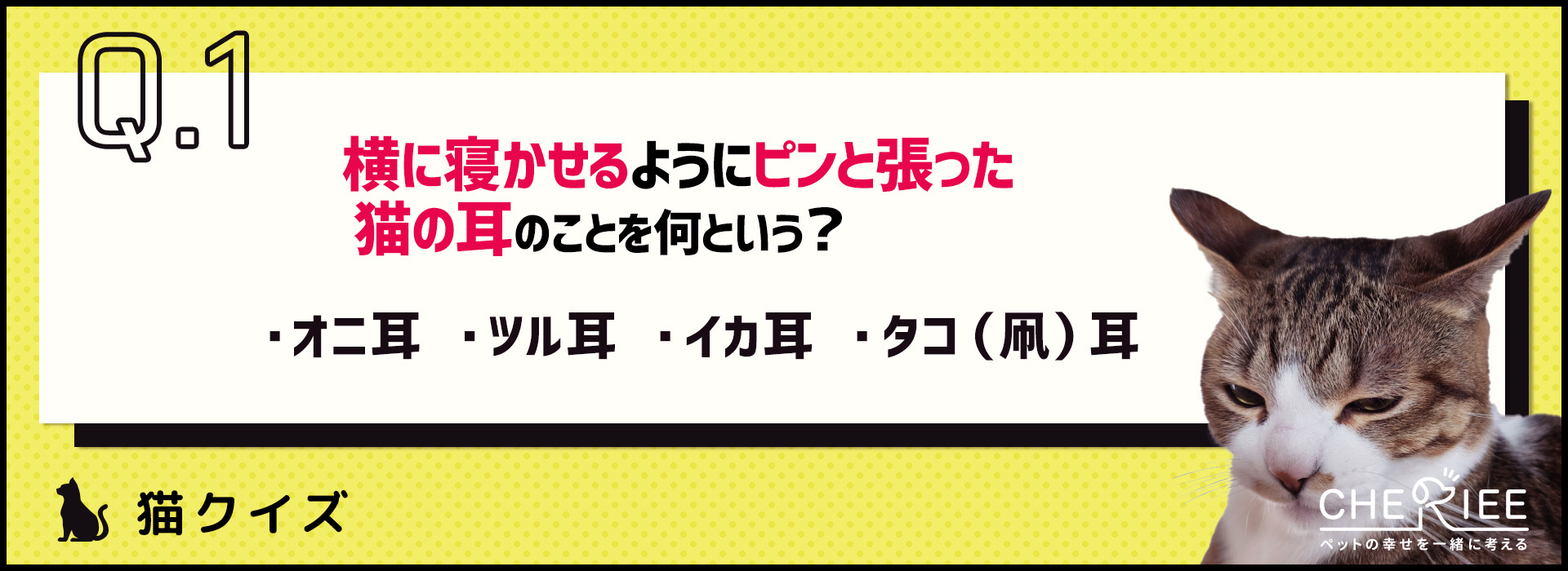 【クイズ】こんな形の猫の耳見たことある？