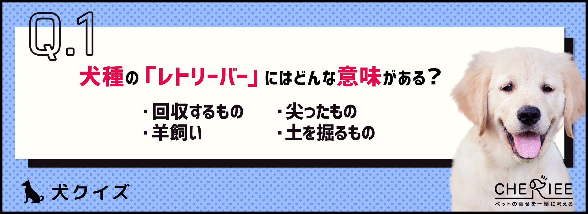 【クイズ】ゴールデンとラブラドール以外も！レトリーバーの特徴とは
