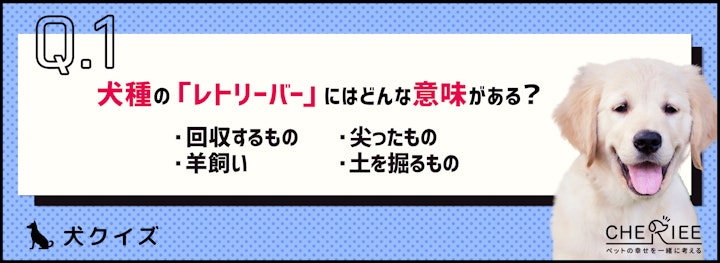 【クイズ】ゴールデンとラブラドール以外も！レトリーバーの特徴とはのアイキャッチ画像