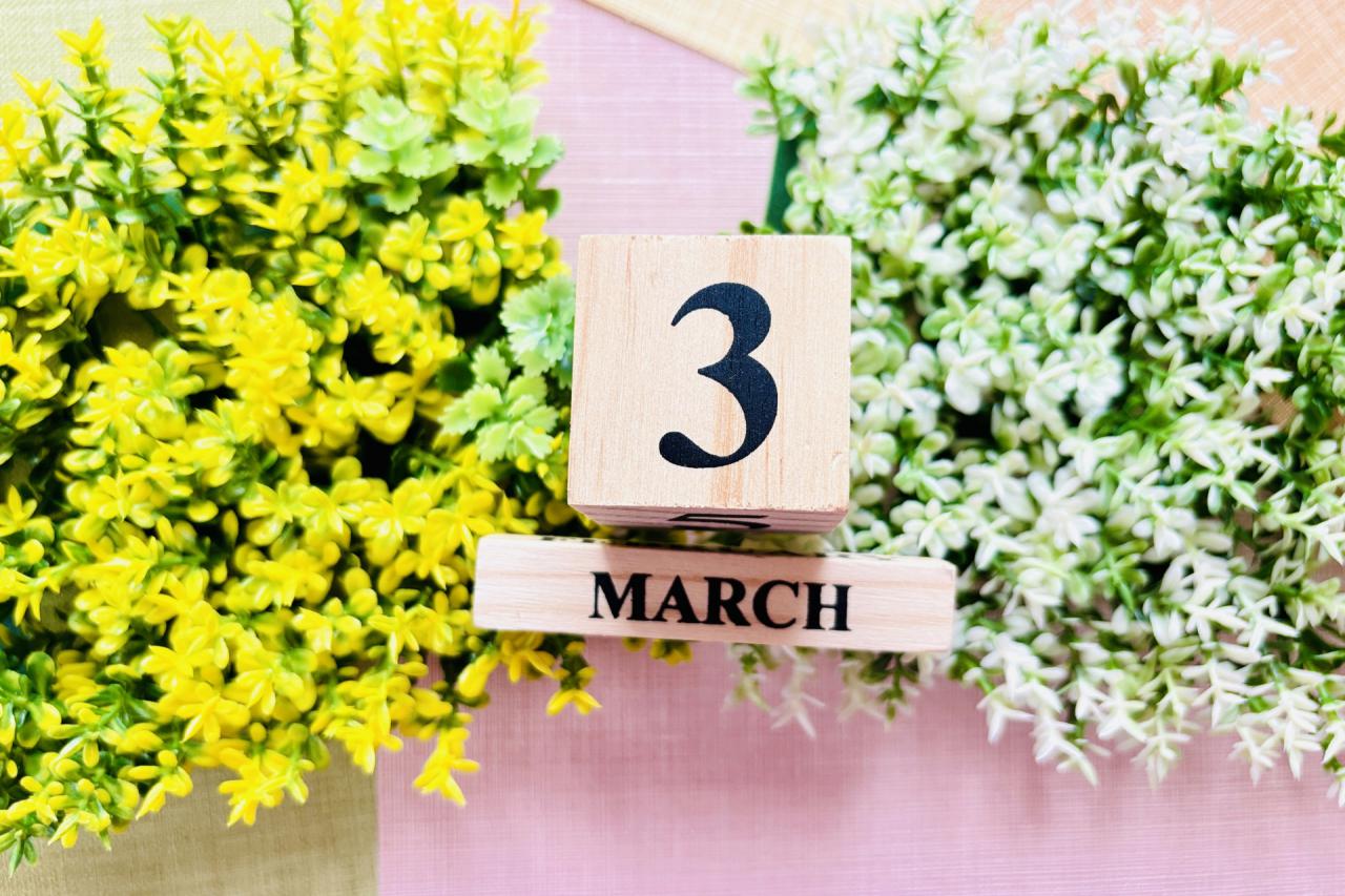 【2024年版】3月の猫のイベント・マルシェ・展示会情報まとめ