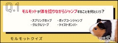 記事カテゴリ第5位