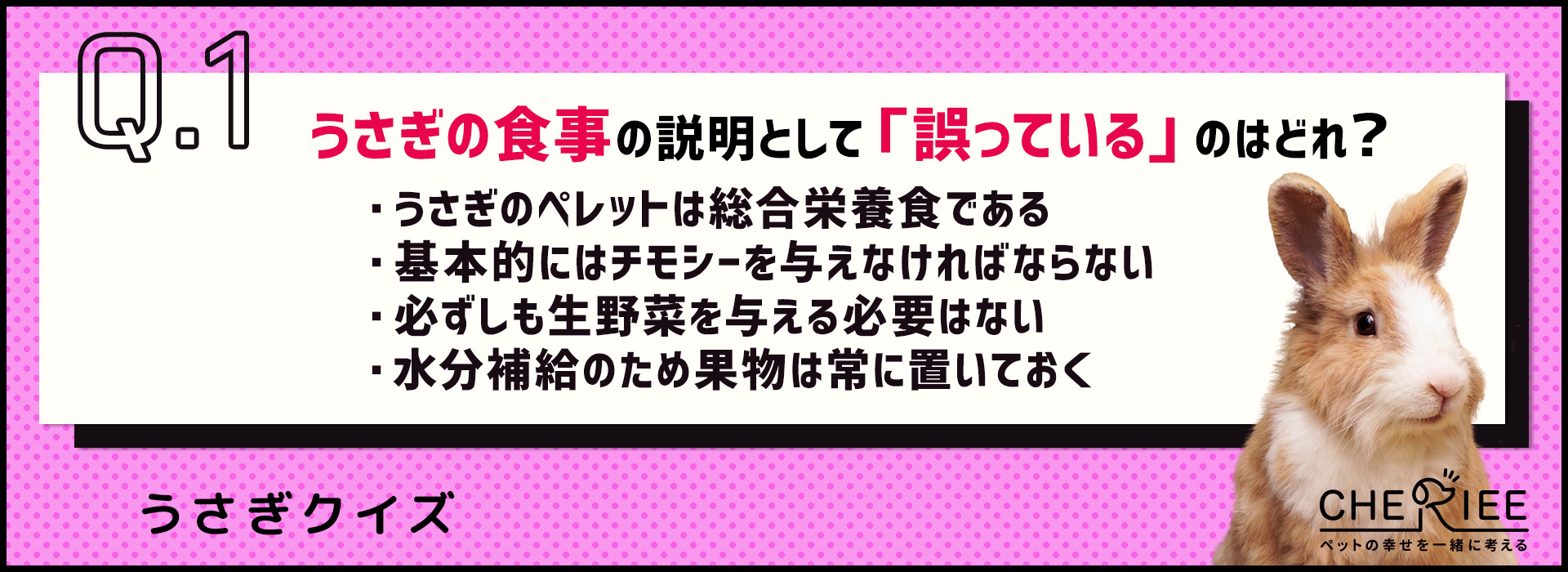 【クイズ】ペレットだけではダメ？うさぎの食事で気をつけたいこと