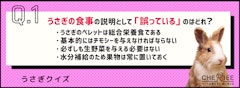 記事カテゴリ第4位