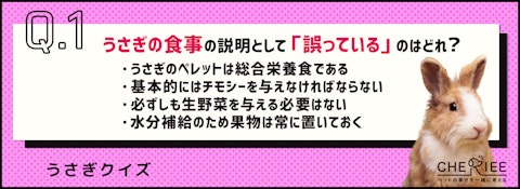 【クイズ】ペレットだけではダメ？うさぎの食事で気をつけたいことのアイキャッチ画像