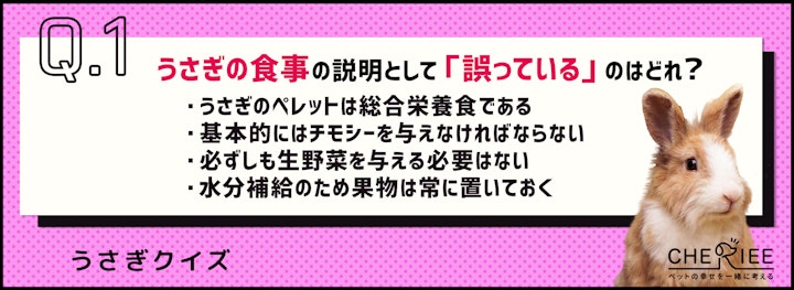 【クイズ】ペレットだけではダメ？うさぎの食事で気をつけたいことのアイキャッチ画像