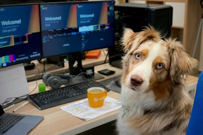 愛犬と出勤する「TakeYourDogToWorkDay」とは？のアイキャッチ画像