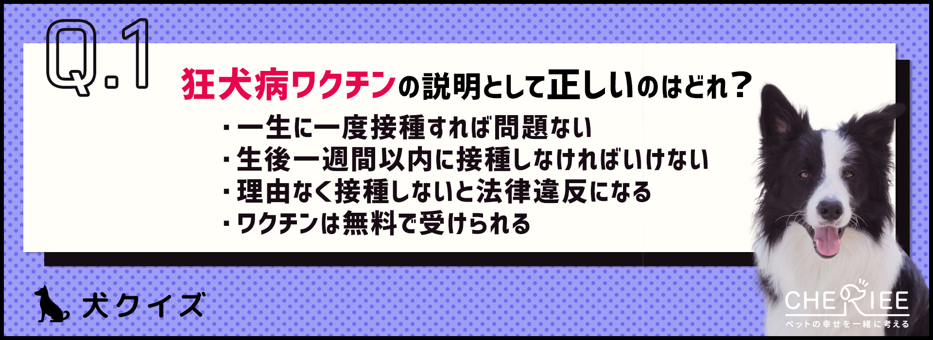 【クイズ】準備はOK？犬の飼い主は忘れちゃいけない春の感染症予防