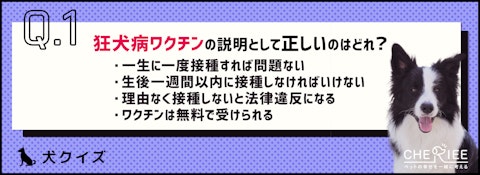 【クイズ】準備はOK？犬の飼い主は忘れちゃいけない春の感染症予防のアイキャッチ画像