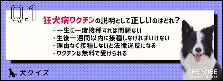 【クイズ】準備はOK？犬の飼い主は忘れちゃいけない春の感染症予防のアイキャッチ画像