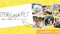 記事カテゴリ第4位