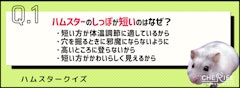 記事カテゴリ第5位