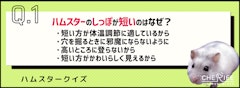 記事カテゴリ第2位