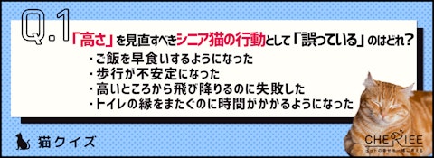 【クイズ】シニア猫への「高さ」の配慮ってどうしてる？のアイキャッチ画像