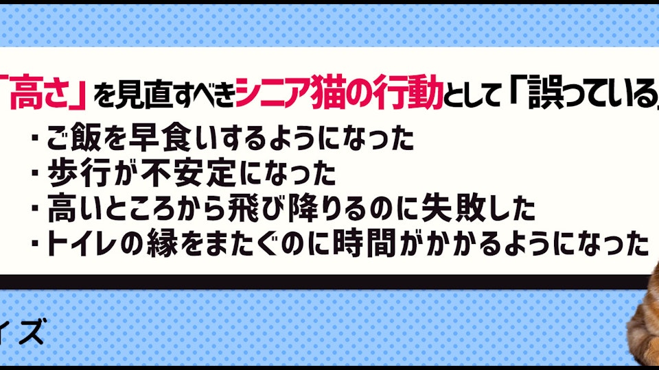【クイズ】シニア猫への「高さ」の配慮ってどうしてる?