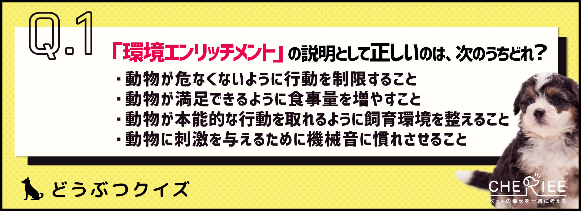 【クイズ】環境エンリッチメントって知ってる？愛犬に良い効果も