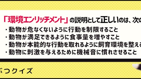 【クイズ】環境エンリッチメントって知ってる?愛犬に良い効果ものアイキャッチ画像