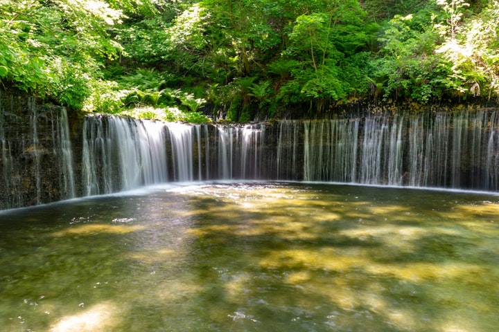 Instagram,アート,おでかけ,ショッピング,ショップ,ドッグラン,ホテル,旅行,犬,軽井沢,長野県