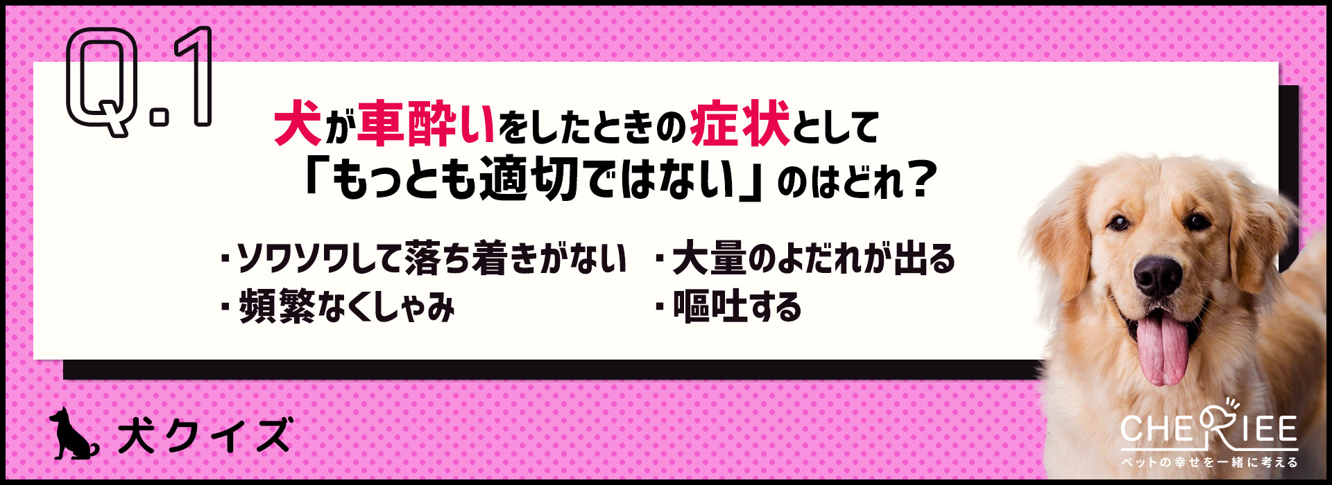 【クイズ】旅行の前に要チェック！犬が車酔いしないためには