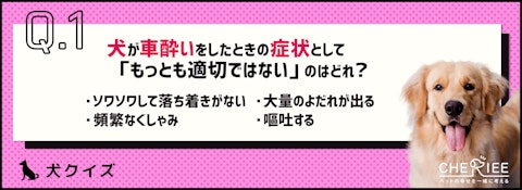 【クイズ】旅行の前に要チェック!犬が車酔いしないためにはのアイキャッチ画像