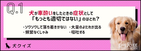 【クイズ】旅行の前に要チェック！犬が車酔いしないためにはのアイキャッチ画像