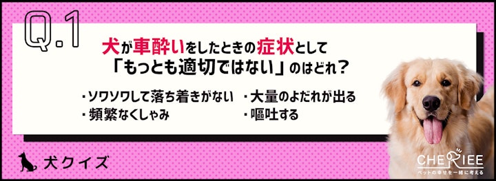 【クイズ】旅行の前に要チェック！犬が車酔いしないためにはのアイキャッチ画像