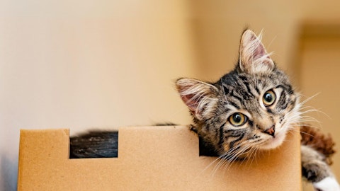今すぐできる!保護犬・保護猫の支援活動やボランティア5選のアイキャッチ画像