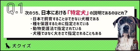 【クイズ】特定犬ってどんな犬のことか知ってる？のアイキャッチ画像