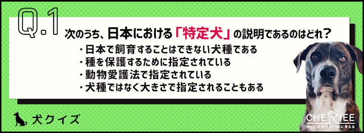 【クイズ】特定犬ってどんな犬のことか知ってる？のアイキャッチ画像