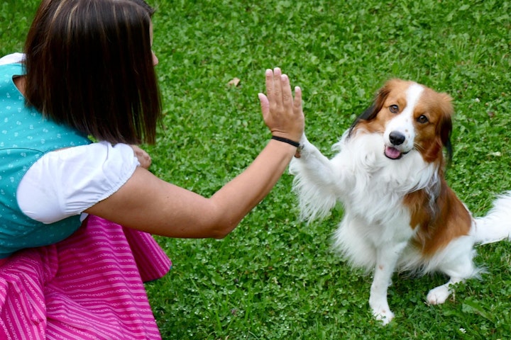 ペット,世話,時間,比較,犬,猫,留守番,費用,飼いやすい