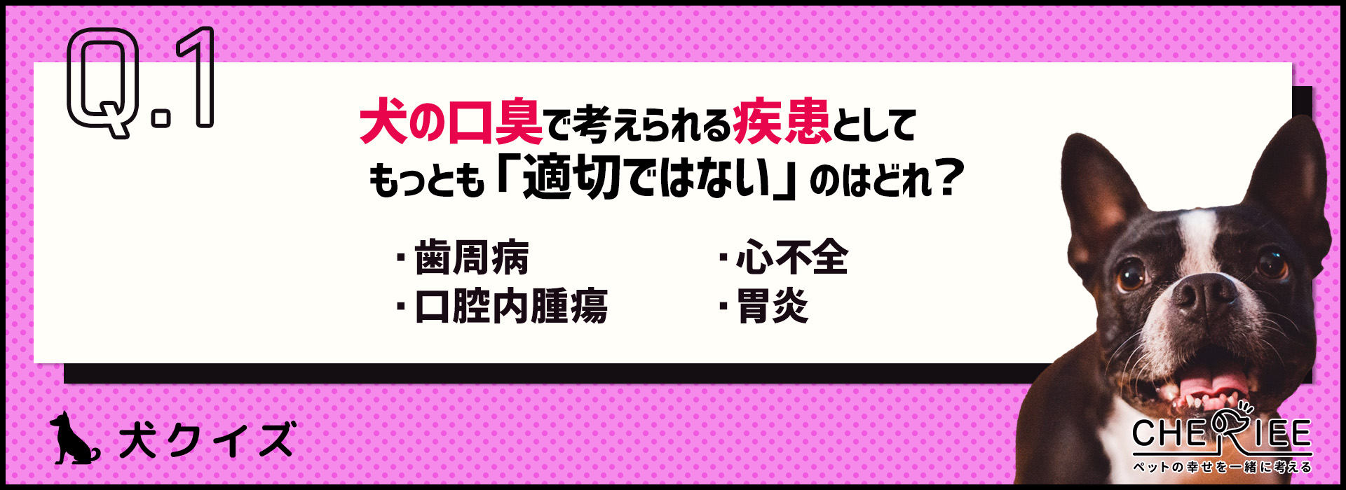 【クイズ】犬の口臭が気になるときに考えられる病気は？