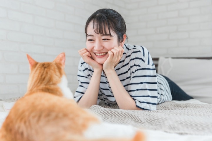 猫カフェ,マナー,ルール,パルボウイルス,服装,におい,ワクチン