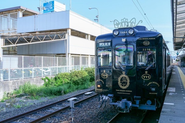 動物の駅長まとめ！各地の可愛い駅長さん【西日本編】のアイキャッチ画像