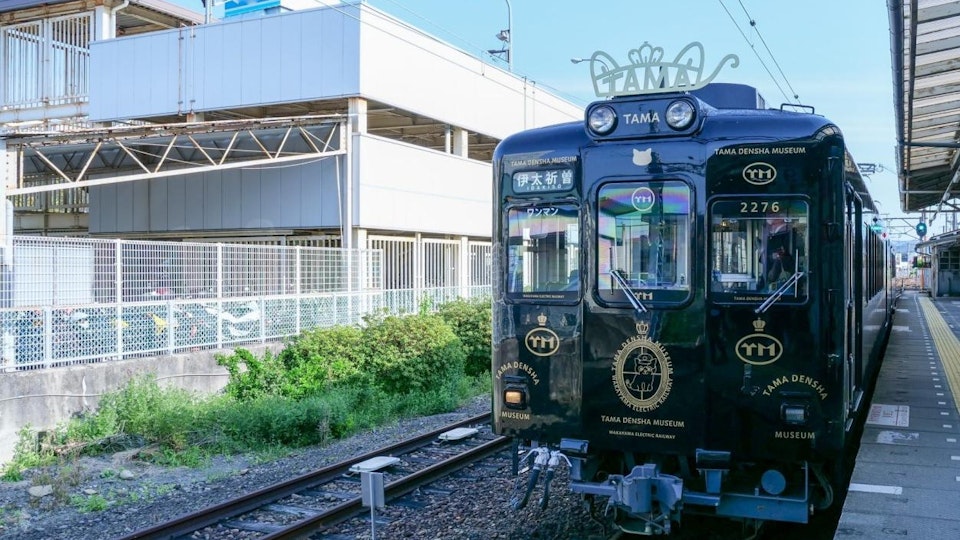 動物の駅長まとめ!各地の可愛い駅長さん【西日本編】